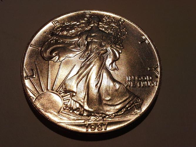 toned american silver eagles,Toned American Silver Eagles: A Comprehensive Guide