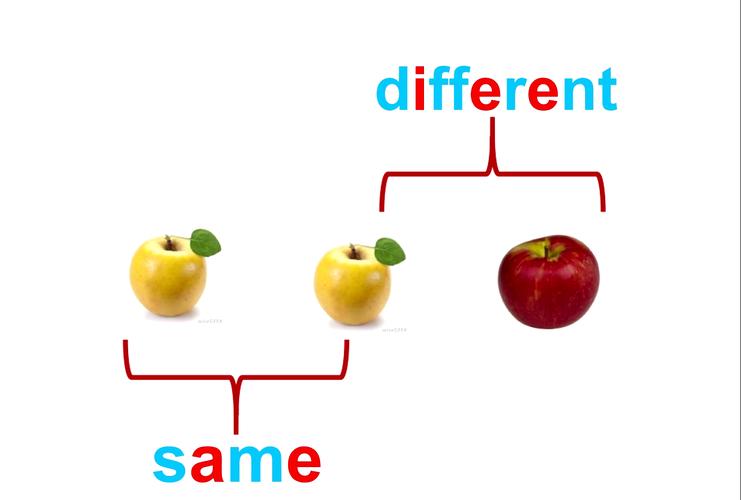 is metric ton and ton same,Is Metric Ton and Ton the Same?