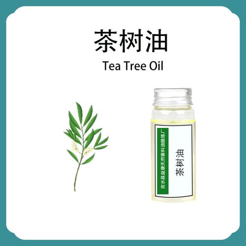 toner with tea tree oil,Toner with Tea Tree Oil: A Comprehensive Guide